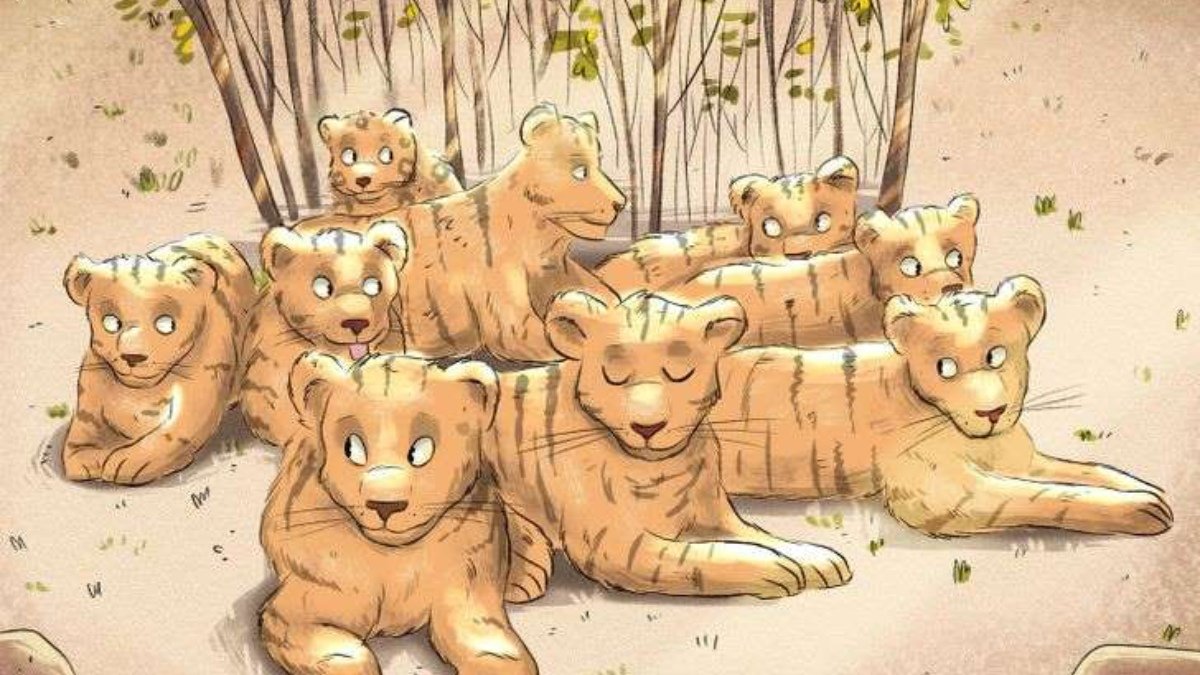 Kaplanların arasına gizlenen jaguarı kimse bulamıyor! Sadece IQ'su 160'ın üzerinde olanlar 9 saniyede bulabiliyor!