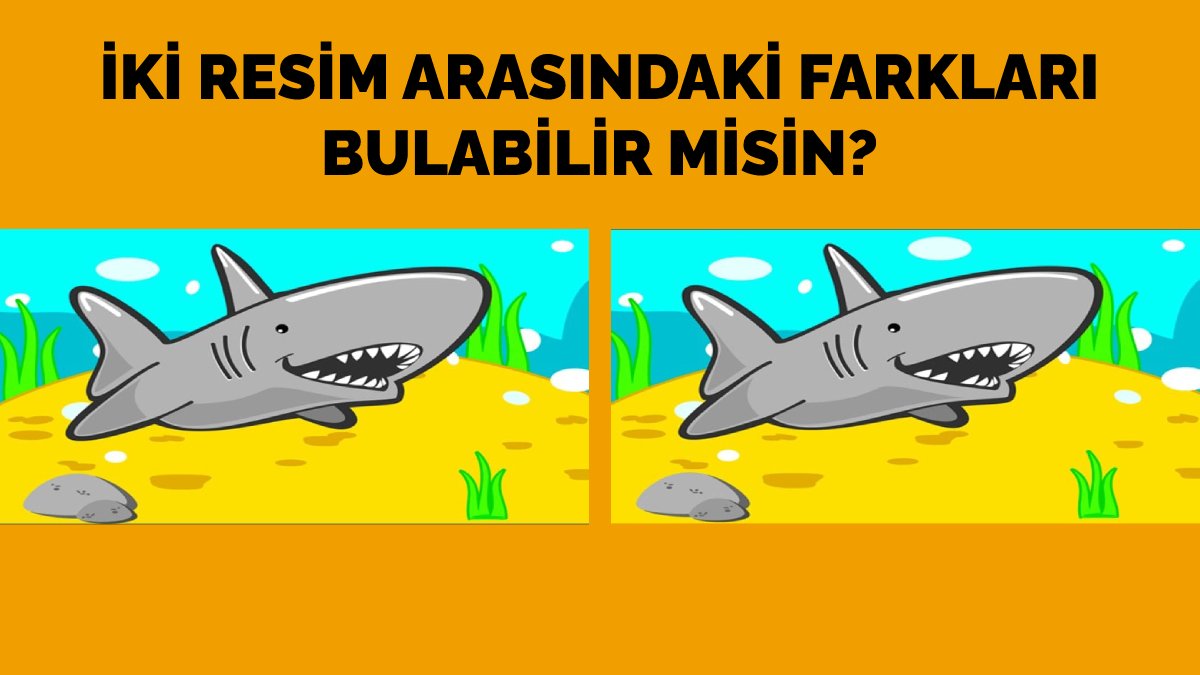 9 saniye içinde 3 farkı bulabilir misin? Sadece gerçek zekiler iki resim arasındaki farkları bulabiliyor!