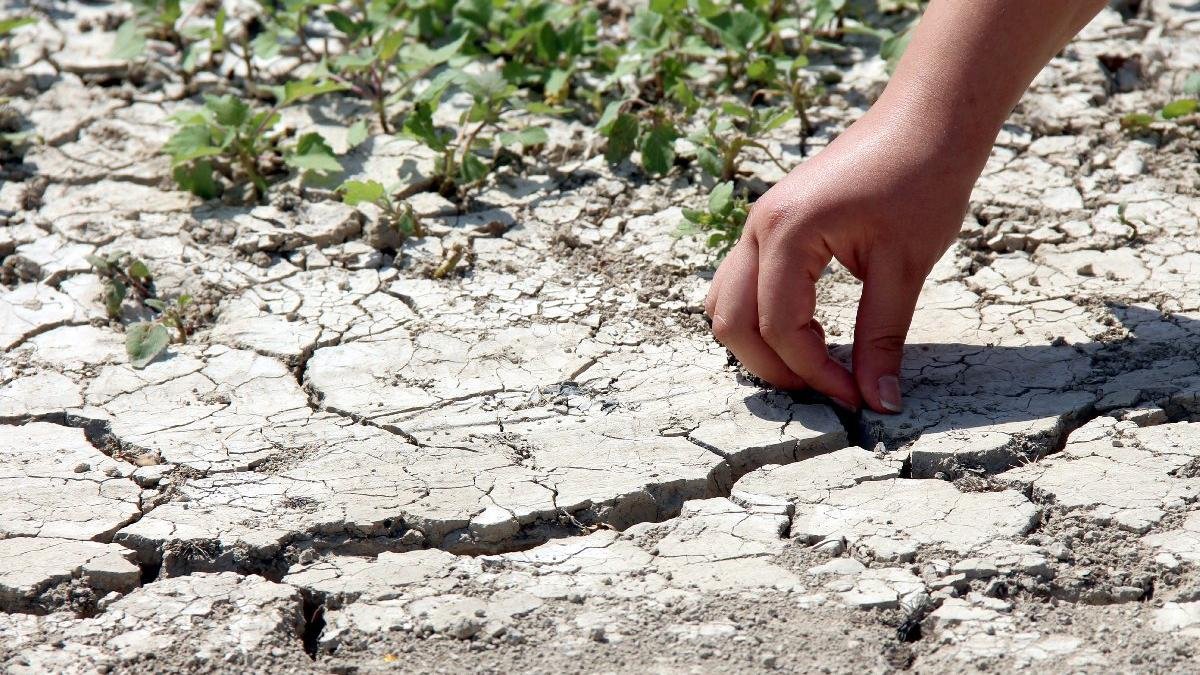 Tarlalarını kuraklık vuran çiftçi: Yüzde 40'lara varan verim kaybı olabilir