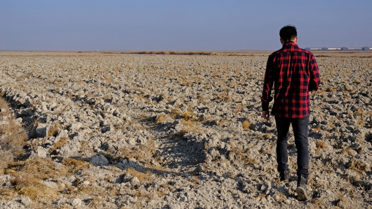 'Devlet tedbir diyor uygulama yok' diyen çiftçi kuraklığın pençesinde: Kapattırılan kuyular tekrar açılıyor