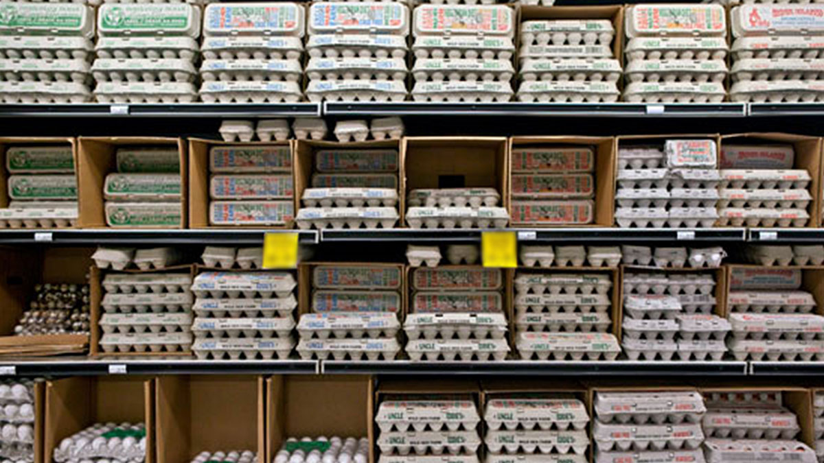 Artık koliyle alma dönemi bitti! Tane tane satılacak: Yumurta fiyatlarına öyle bir kuş gribi zammı geliyor ki...