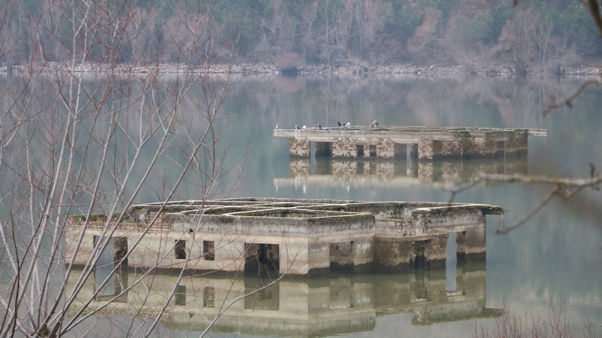 Zonguldak'ta korkutan kuraklık manzarası: Barajda sular çekilince evler ortaya çıktı
