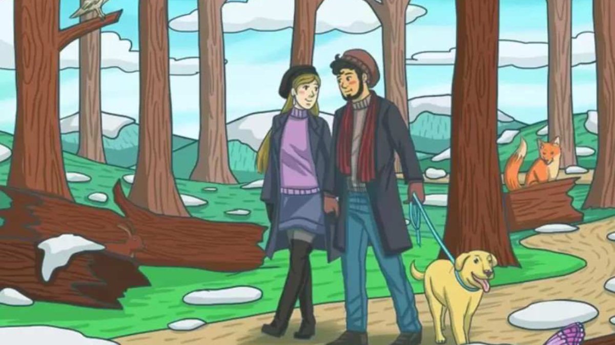 Resimdeki tavşanı bulmak için IQ'nuzun en az 160 olması gerekiyor! Sadece üstün zekalı insanlar tavşanı bulabiliyor!