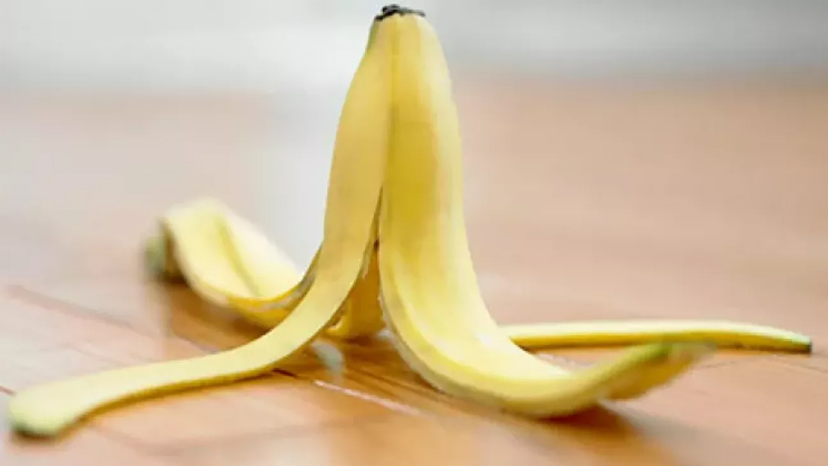 Bu haberimizi okuduktan sonra yediğiniz muz kabuklarını çöpe atmaya kıyamayacaksınız! Öğrenenler hemen denemeye koşuyor...