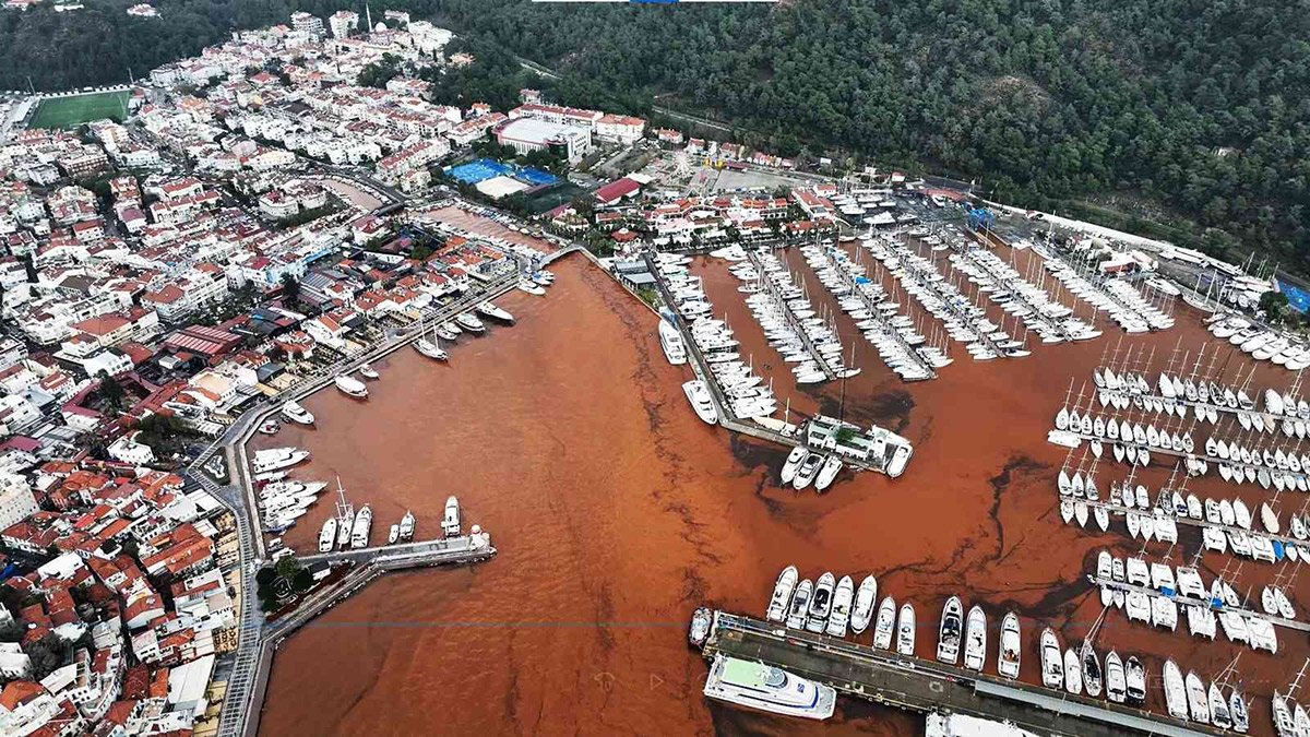 Marmaris’te denizin rengi değişti! Mavi ve turkuaz kayboldu