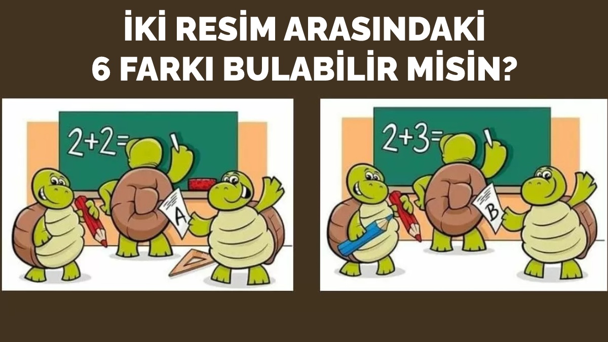 İki resim arasındaki 6 farkı bulmak için IQ'nuzun en az 140 olması gerekiyor! 13 saniyede bulabilir misin?