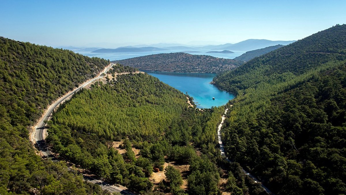 Doğal sit alanlarında otel projesi yapılacaktı: Bodrum'da bölge halkı imar planını durdurdu