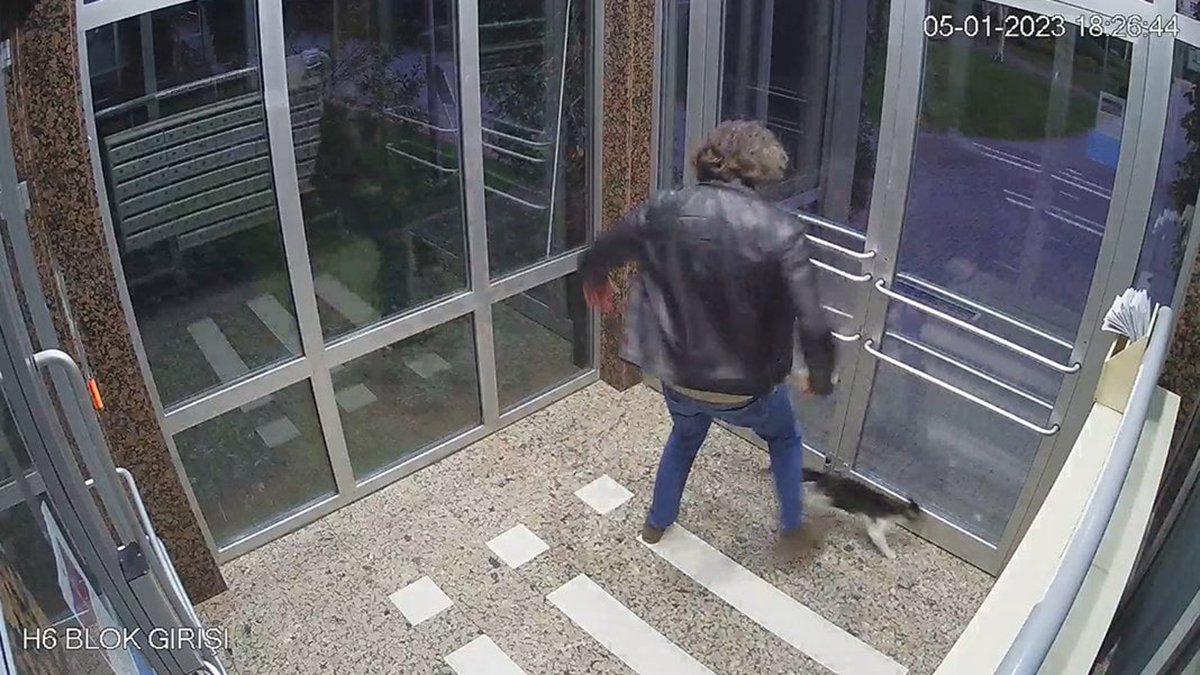 Kedi düşmanı adli kontrolle serbest bırakıldı