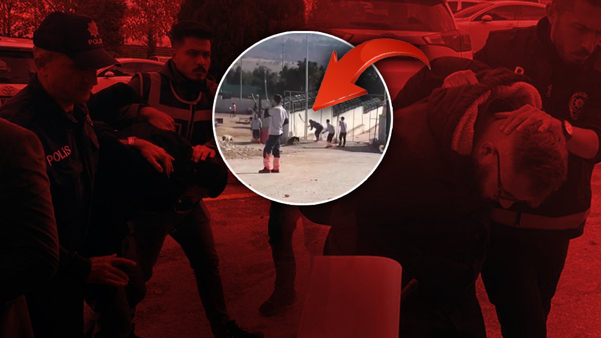 Kürekle köpeği öldürdüler ama suça meyilli değiller