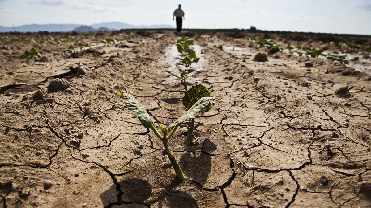 Tarıma 'nöbetleşme' sistemi: Kuraklıkla mücadele için 81 ilde harekete geçiliyor