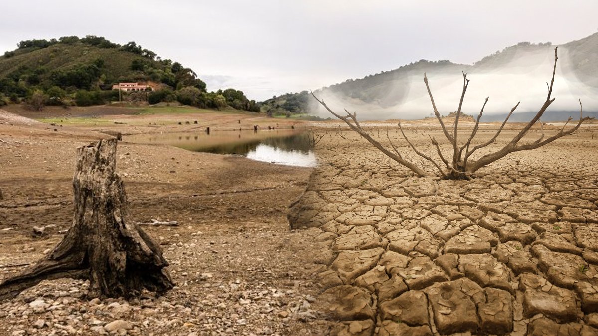 Dünya susuzlukta boğulacak! Ormanlardan daha hızlı yok oluyor