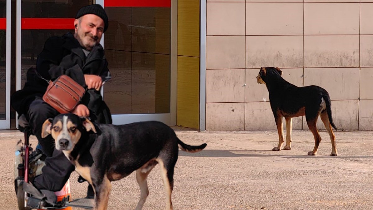 Duygulandıran vefa... Engelli sahibini saatlerce hastane kapısında bekliyor