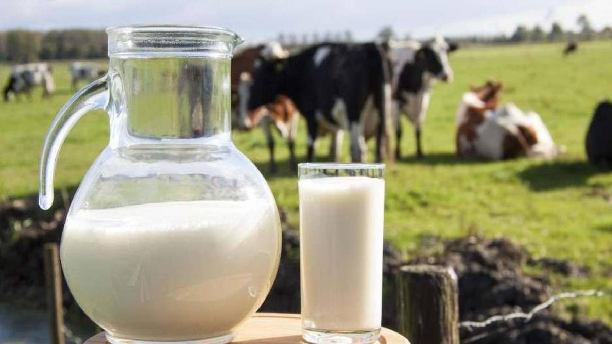 En çok çocuklara kötü oldu! Süt fiyatlarında şok eden artış, bir şişesi bile o fiyatı buldu