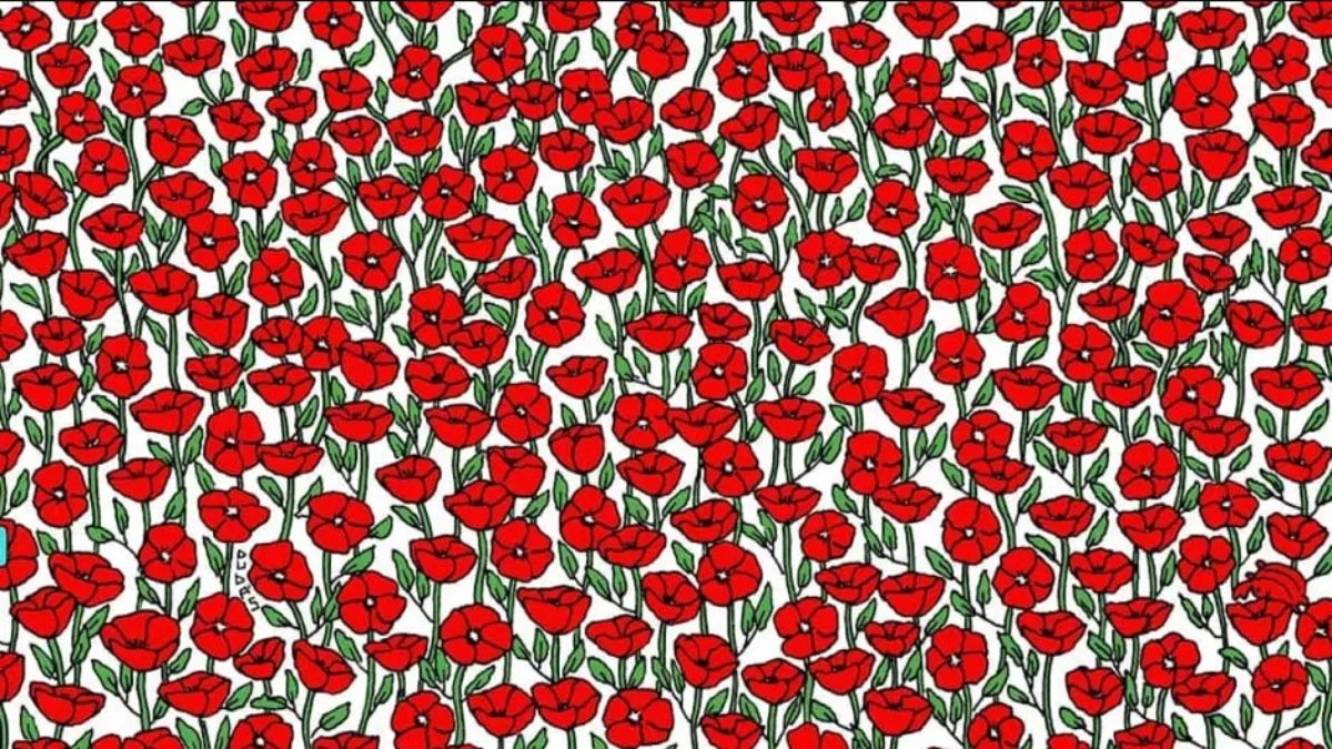 Çiçeklerin arasındaki gizli yengeci bulanların IQ'su en az 160 çıkıyor! Yalnızca üstün zekalı olanlar 7 saniyede bulabiliyor!