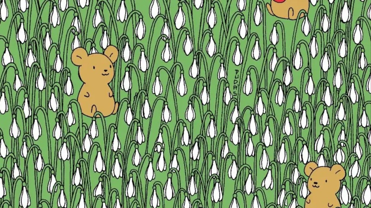 Resimde 4 gizli tırtıl var! Sadece üstün zekalı olanlar gizli tırtılları 10 saniyede bulabiliyor! Yapabilir misin?