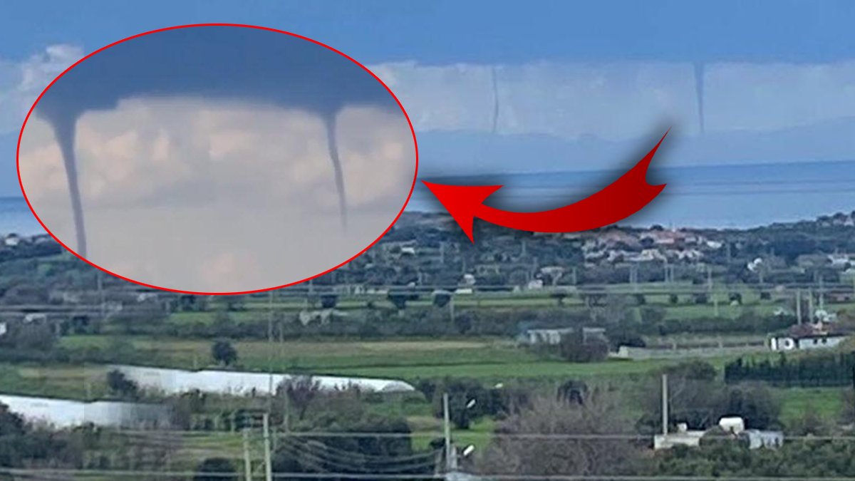 Çeşme'de korkutan görüntü! Bir anda çıktı, aynı anda 8 tane