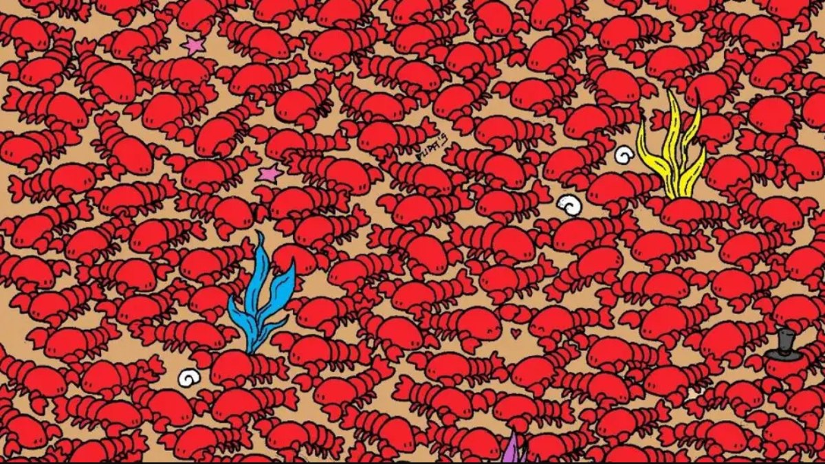 Istakozların arasında 4 gizli yengeç var! Yalnızca IQ'su 150'nin üstünde olanlar 12 saniyede bulabiliyor!