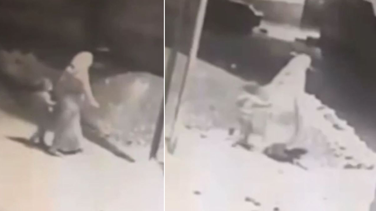 6 yaşındaki Aya'yı katleden anneden çıldırtan savunma