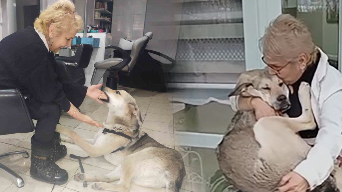 'Uyutulsun' denilen hayvan dostunu şefkatiyle ayağa kaldırdı: Sevgi iyileştirir