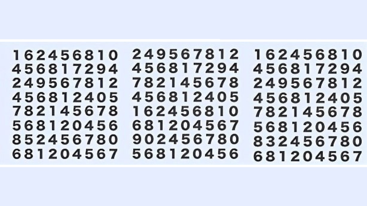 3 sayısını 3 saniyede bulanların IQ'su en 150 çıkıyor! Sadece gerçek zekiler bulabiliyor!