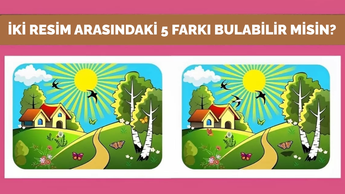 100 kişiden sadece 4'ü iki resim arasındaki 5 farkı bulabiliyor! 12 saniyede bulanların IQ'su en az 150 çıkıyor!