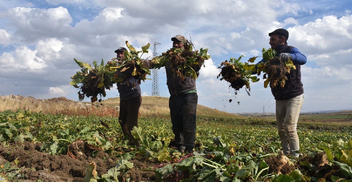 TCKN son hanesine göre ödemeler hesapta: IBAN numaranızı hemen kontrol edin
