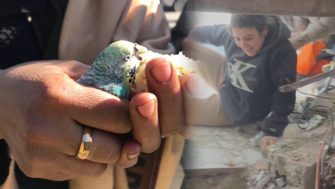 Onlar Türkiye'nin mucizeleri...