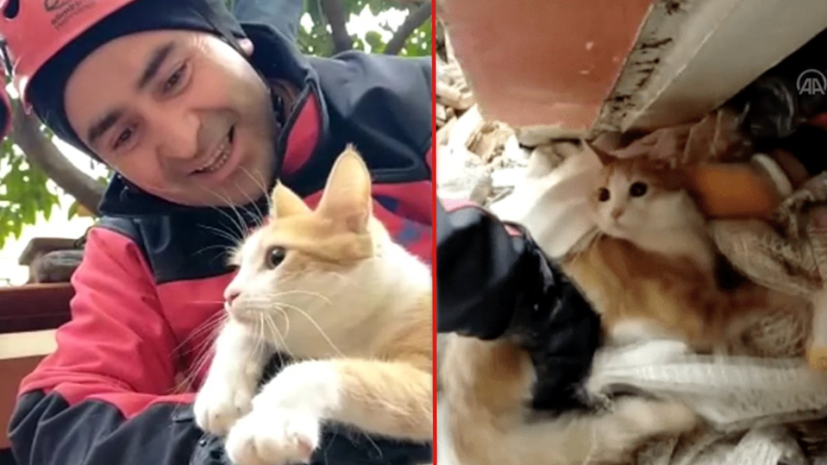 'Önce kedimi kurtarın' diyen Kerem ve Çilek enkazdan kurtarıldı