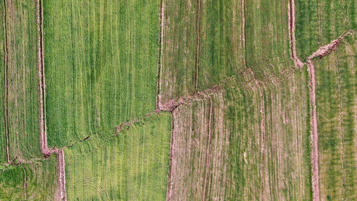 Yeryüzü 2-3 metre yarıldı, zeytin ağaçları toprağa gömüldü! Fay kırığı havadan görüntülendi: Tüyler ürpertici!