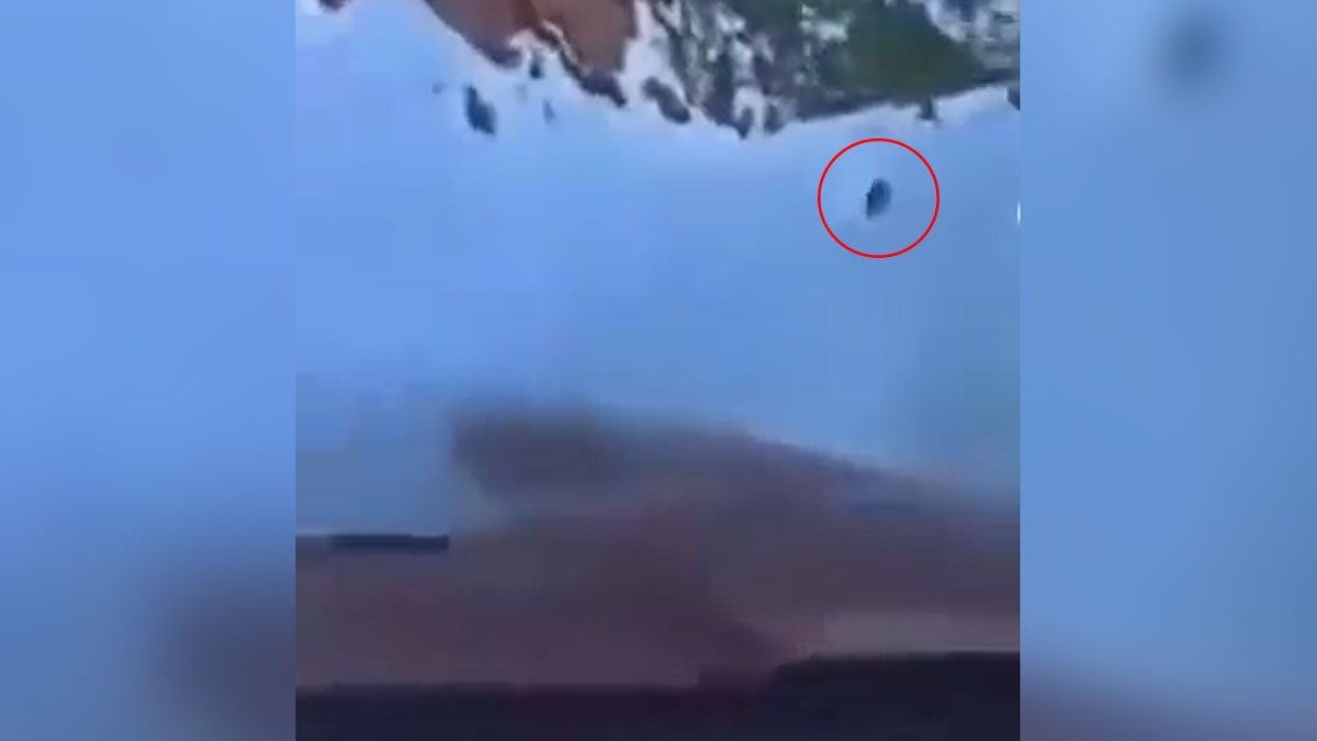 Yardıma giderken yollarını kaybetmişlerdi! Cesur köpek buz gibi havada ekiplere yolu gösterdi...