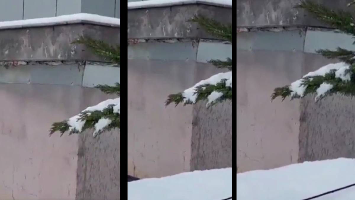 Malatya Devlet Hastanesi'nin depreme direnme anı kamerada: Sismik izolatörler görevini yaparken...