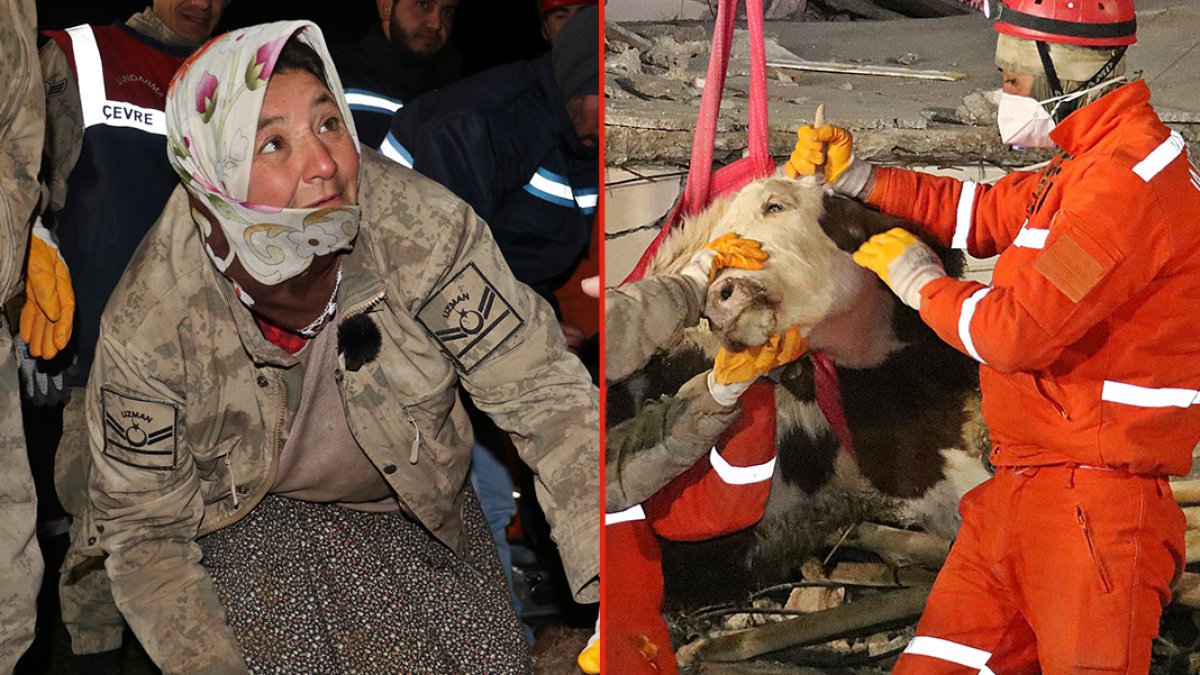 Göçük altındaki ineğini sürünerek girip beslemişti: Bircan 11 gün sonra enkazdan çıktı
