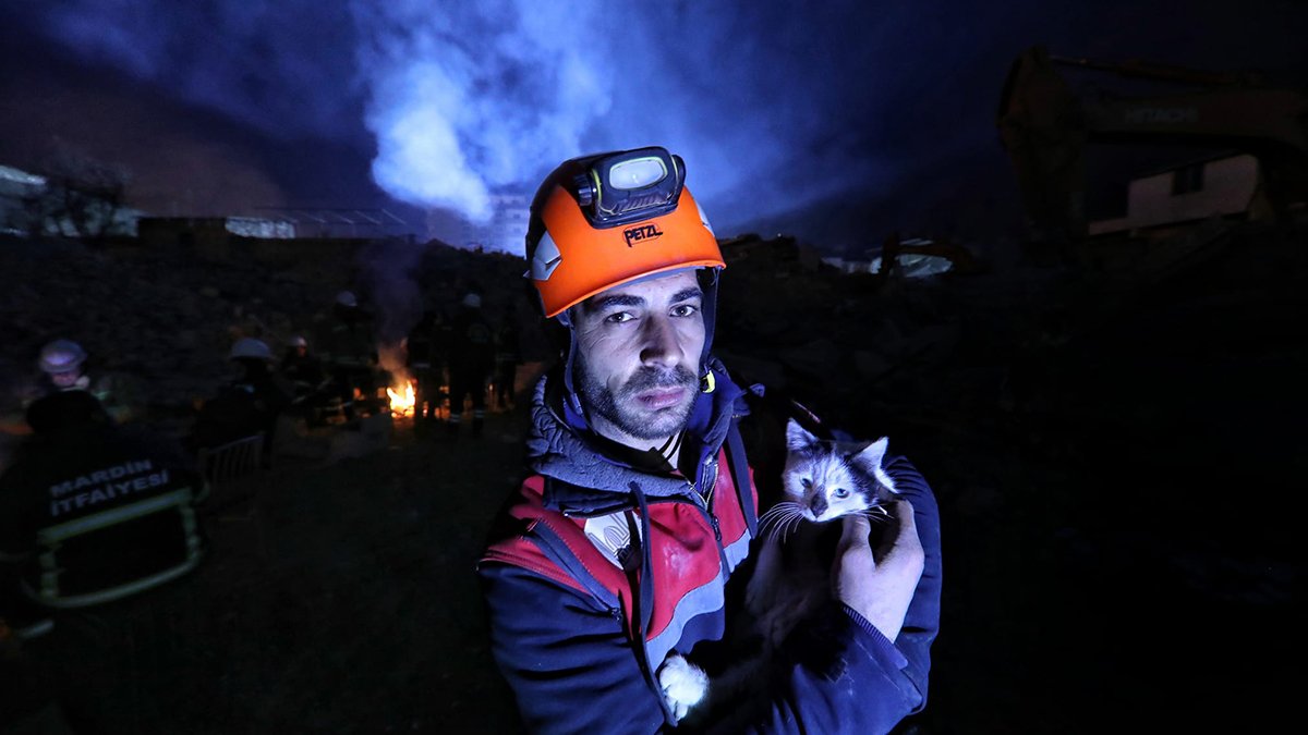 Depremin 129. saatinde kurtardığı kedi, can dostu oldu