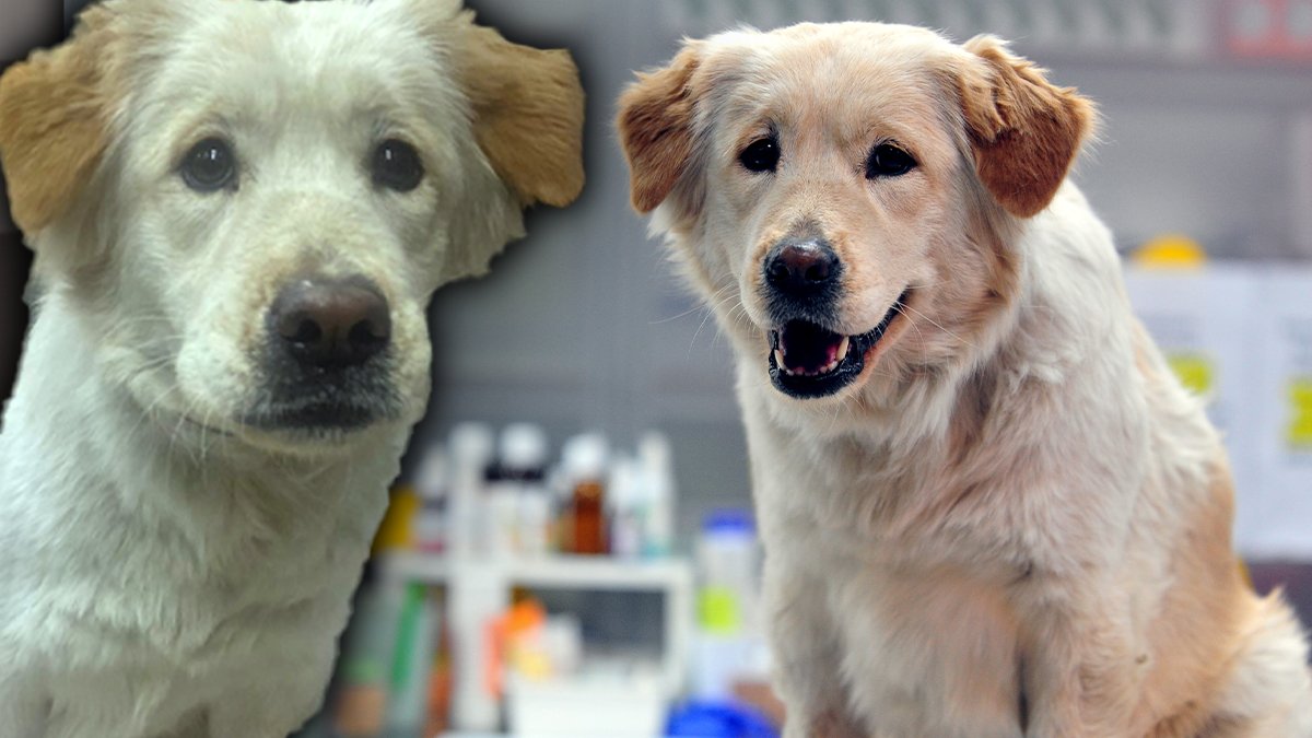 Afetten kurtarılmıştı, Mucize ailesiyle buluştu: Sen beni uyandırdın gece, hatırlıyor musun?