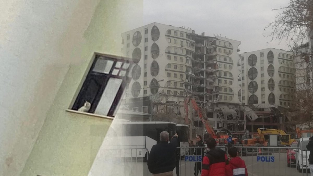 Diyarbakır'da 14 can için yardım çığlığı: Hayvanları enkaza gömmeyin!