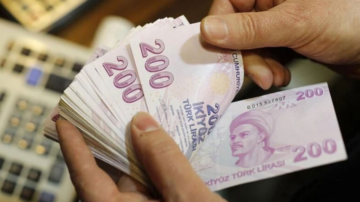 TCKN son hanesi 2, 4, 6 olanlar hemen kontrol etsin! Hesabınıza para yatırıldı