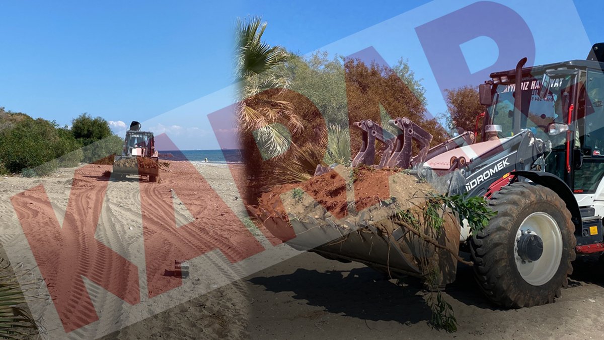 Caretta carettaların yumurtlama alanında talan! Koruma altındaki parka iş makineleri girdi