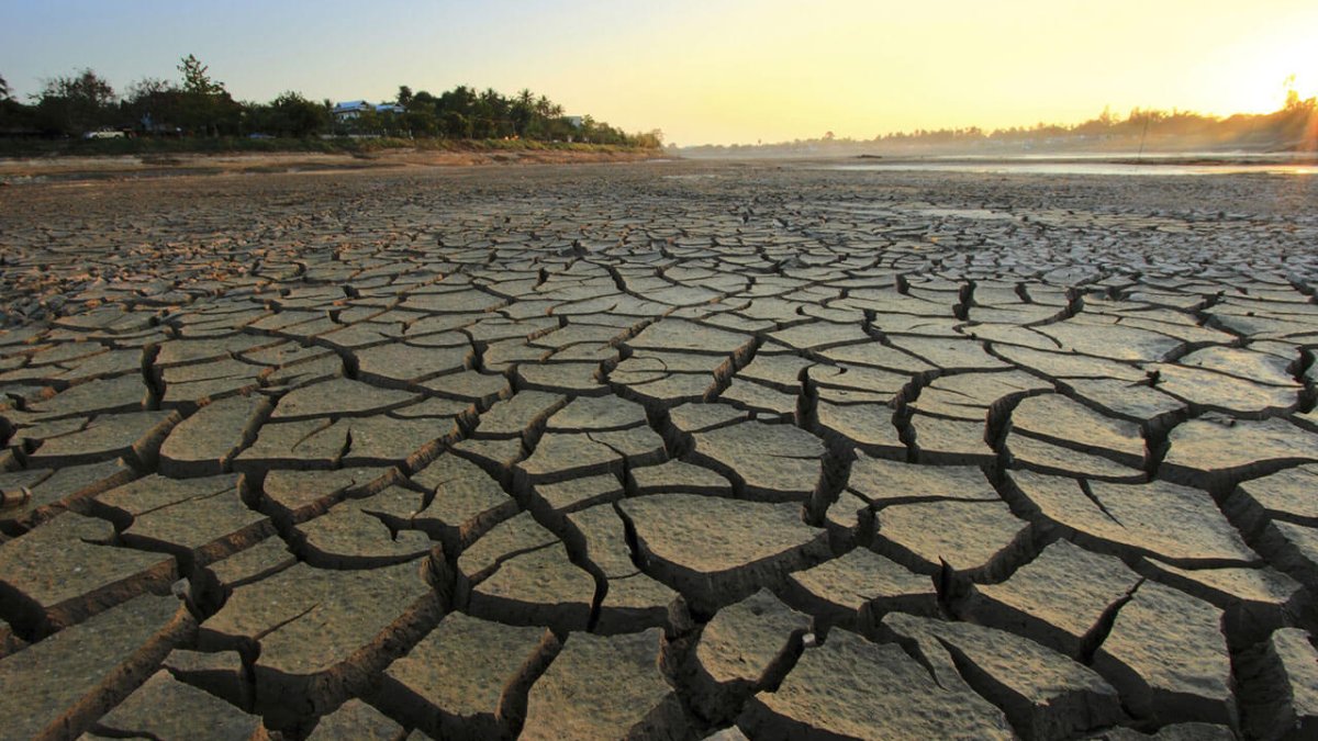 Uzmanlar 'risk çok büyük' diyerek uyardı: Türkiye'yi korkutan kahverengi