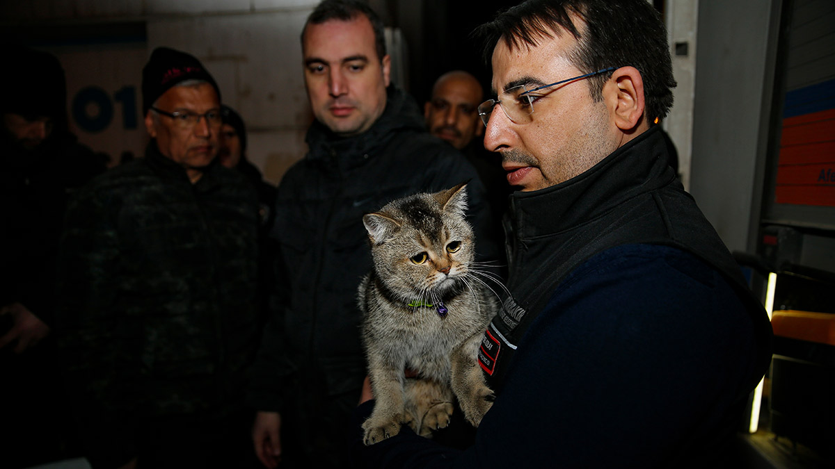 Yıkımı durdurulan Galeria'da çalışmalar devam ediyor: Mahsur kalan 'Zena' kurtarıldı