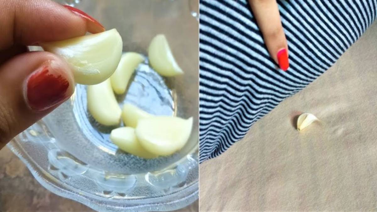 Yastığınızın altına her gün mutlaka koyun! Vücuda öyle bir etkisi var ki: Deneyen bir daha bırakamıyor!