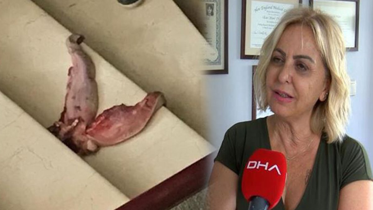 Profesörü tehdit eden sanık için yakalama kararı