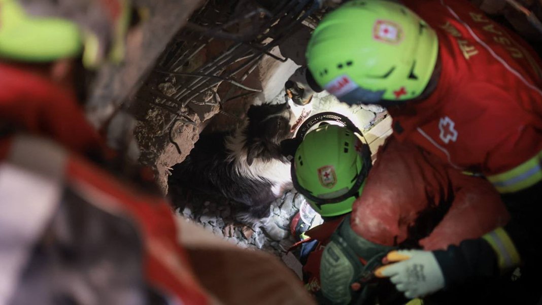 Depremzede canlar için 72 saat süre: Bakanlık yeni genelgeyi yayımladı