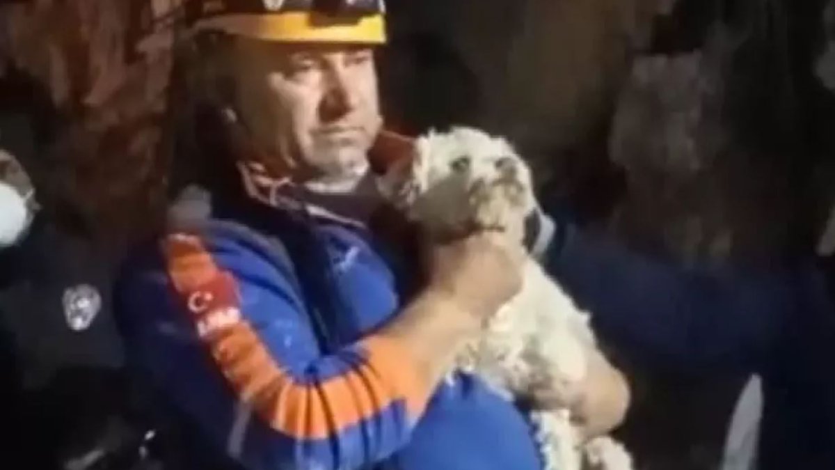 Hatay'da 25 gün sonra enkazdan bir köpek canlı çıkartıldı