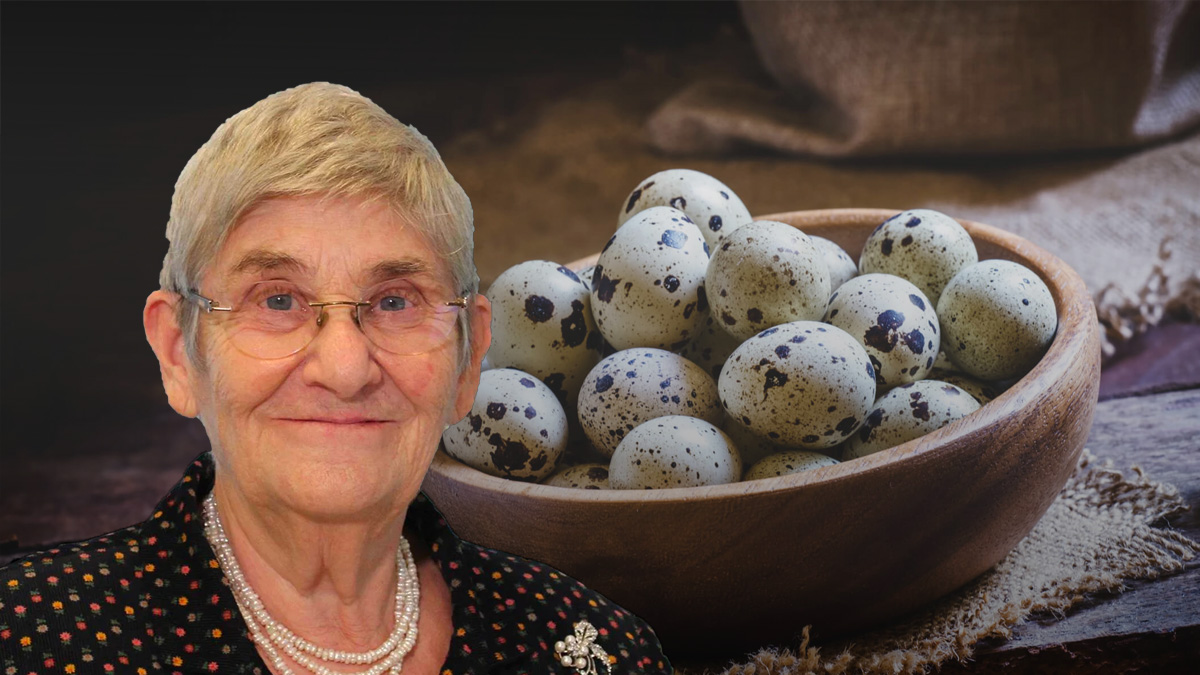 Prof. Dr. Canan Karatay o besini şiddetle önerdi! O besin zeka gerilemesinin önüne geçiyor, minik ama faydası büyük...