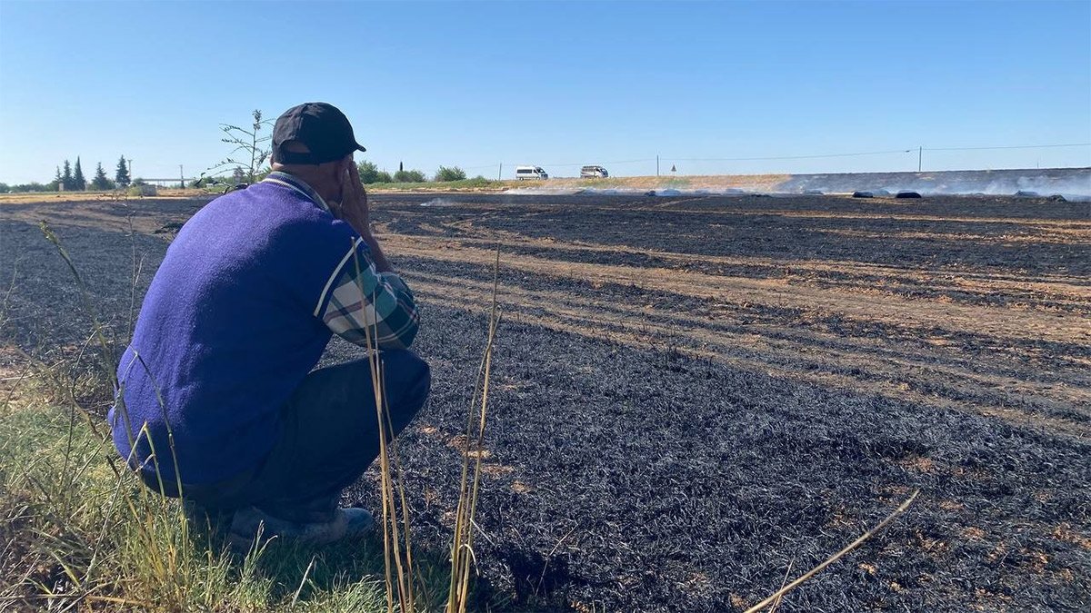 Çiftçiyi önce maliyet sonra da kuraklık vurdu: 'Yağmur yağsa bile iş işten geçti'