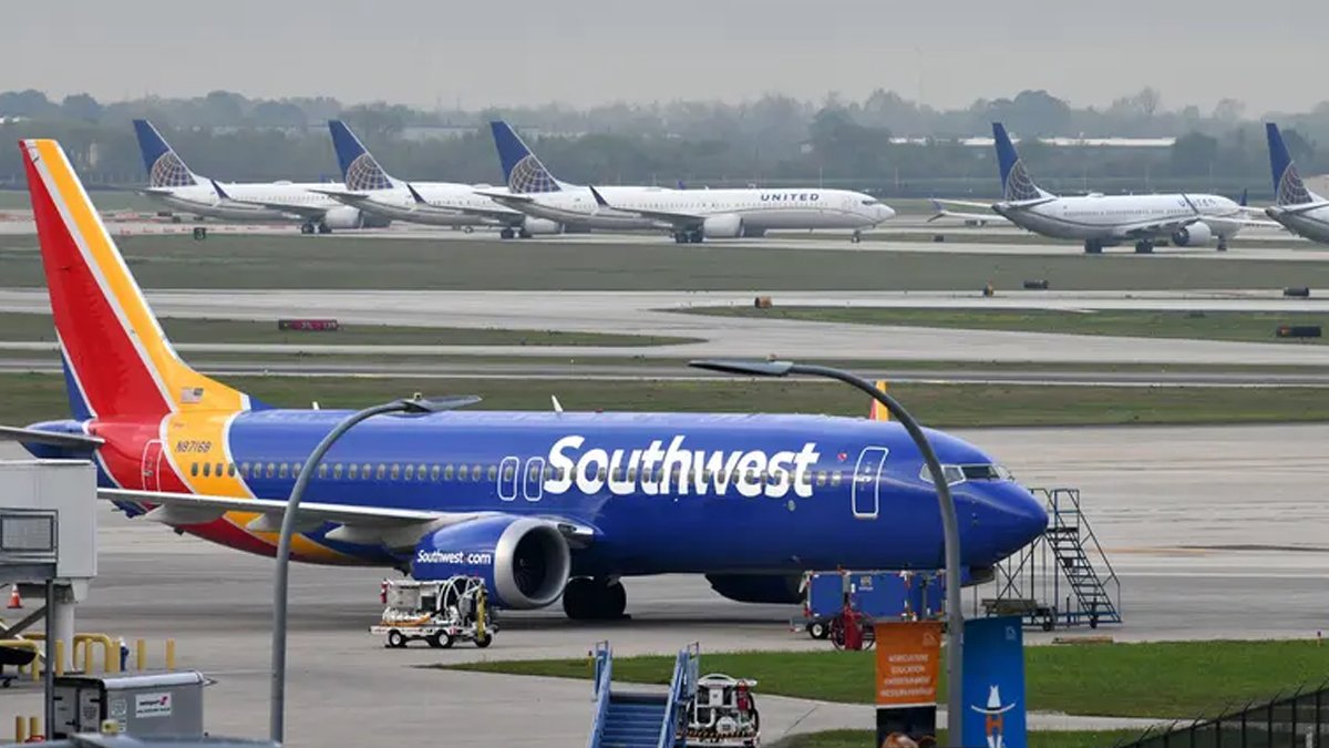 Havada kuş paniği: Florida'ya giden uçak Küba'ya döndü