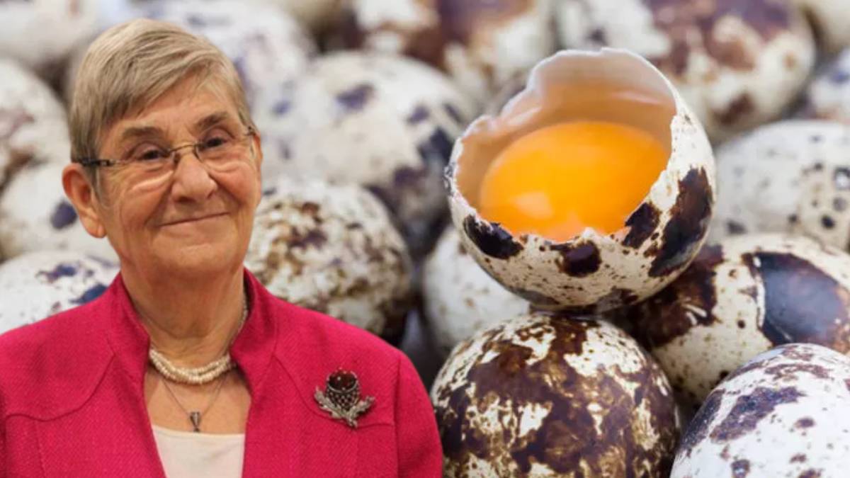 Canan Karatay beyni güçlendirmenin sırrını verdi! Bu besini tüketen tüm hastalıklara meydan okuyor!