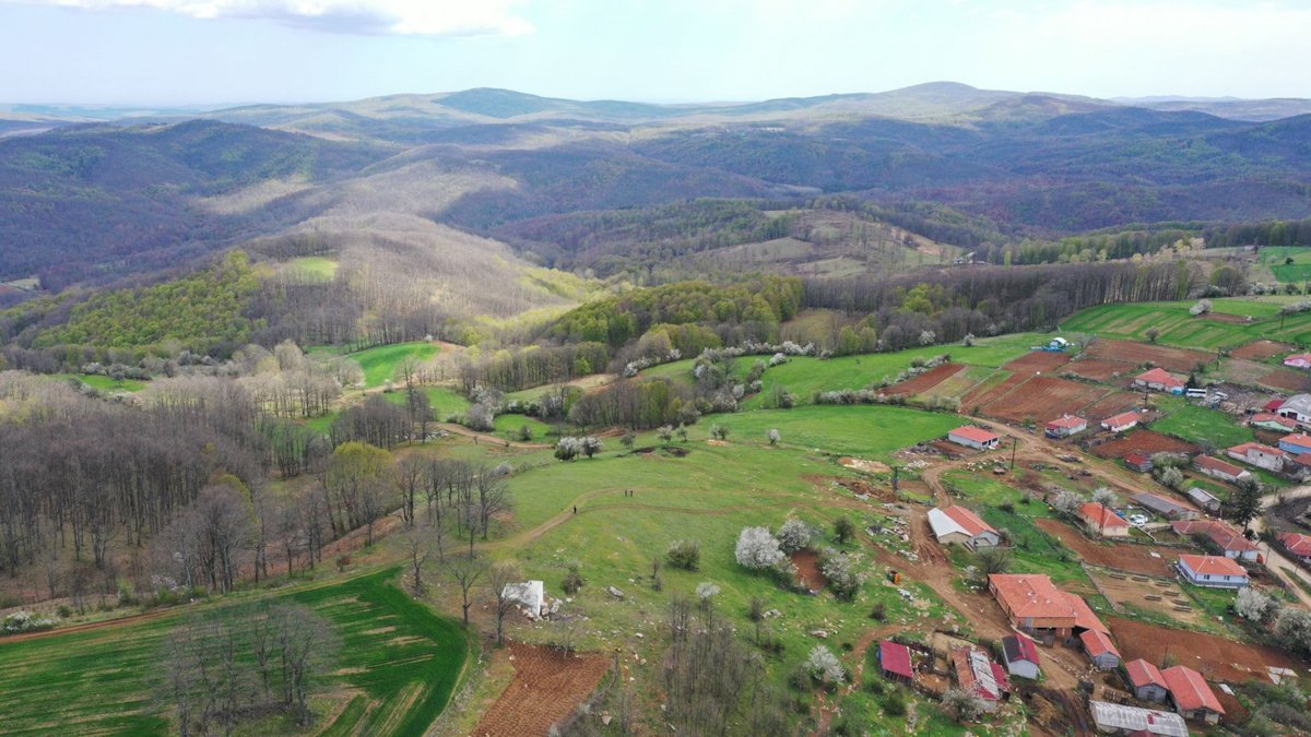 Kuzey Ormanları'na ölümcül darbe: Parsel parsel satılıyor