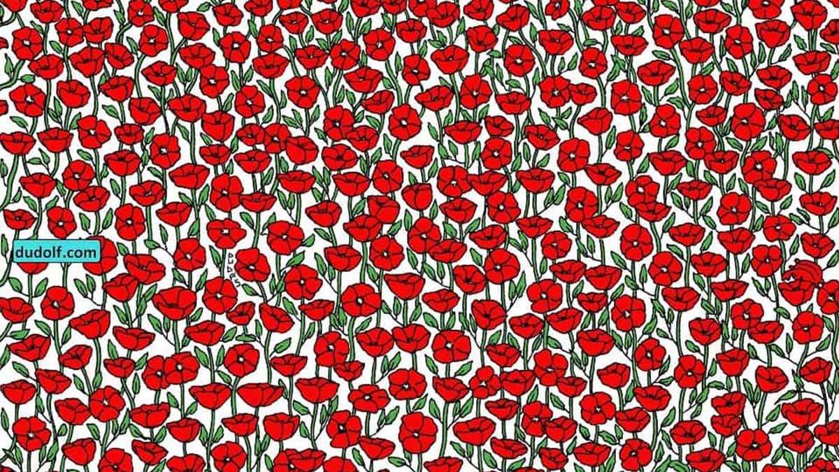 Çiçeklerin arasında gizli bir yengeç var! 10 saniyede bulanların IQ'su en az 150 çıkıyor! Zeka seviyeni test et