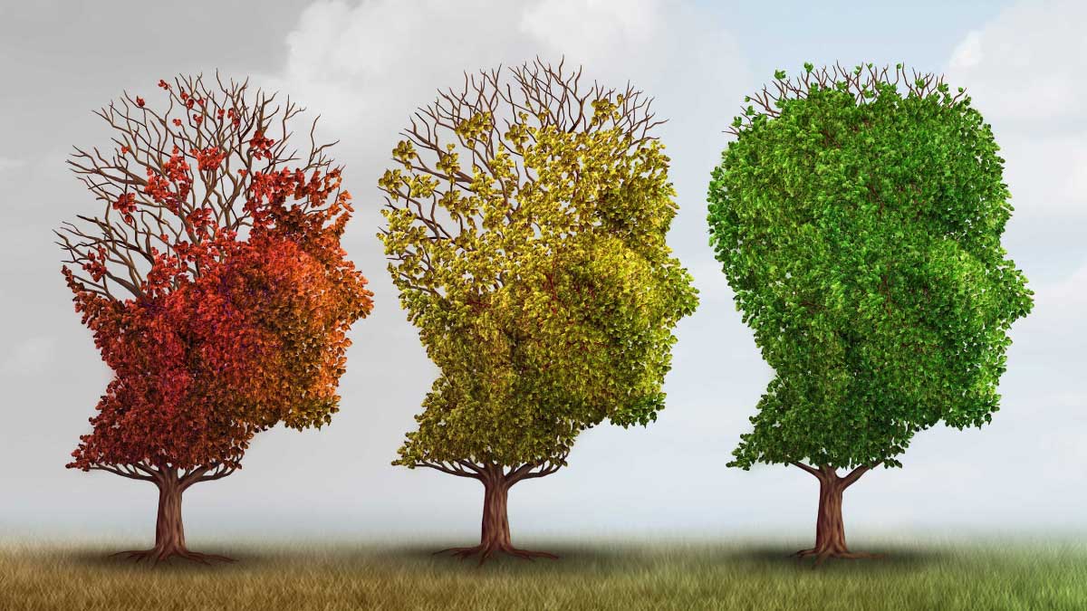 Alzheimer'ı tarihe gömmek için her gün yemek yeter! Güçlü bir hafızanın anahtarı